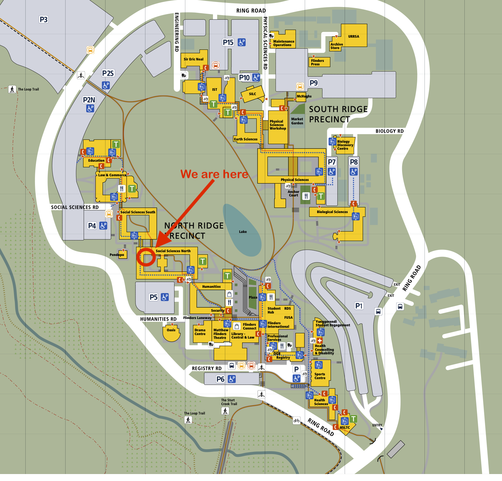 Lab location map - Melanie Takarangi Lab